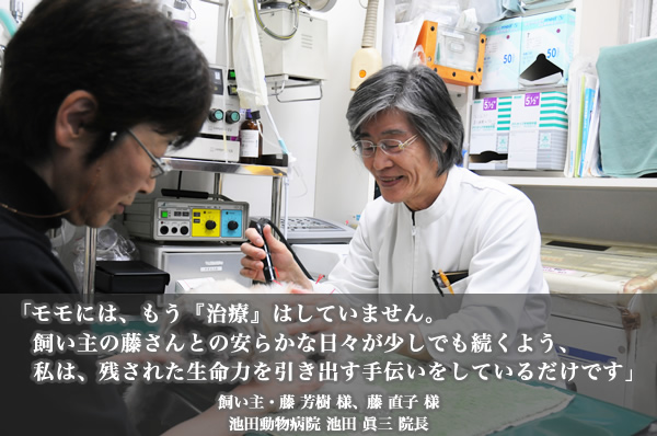 モモにはもう『治療』はしていません。飼い主の藤さんとの安らかな日々が少しでも続くよう、私は残された生命力を引き出す手伝いをしているだけです