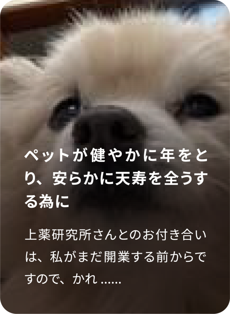 お客様の声1
