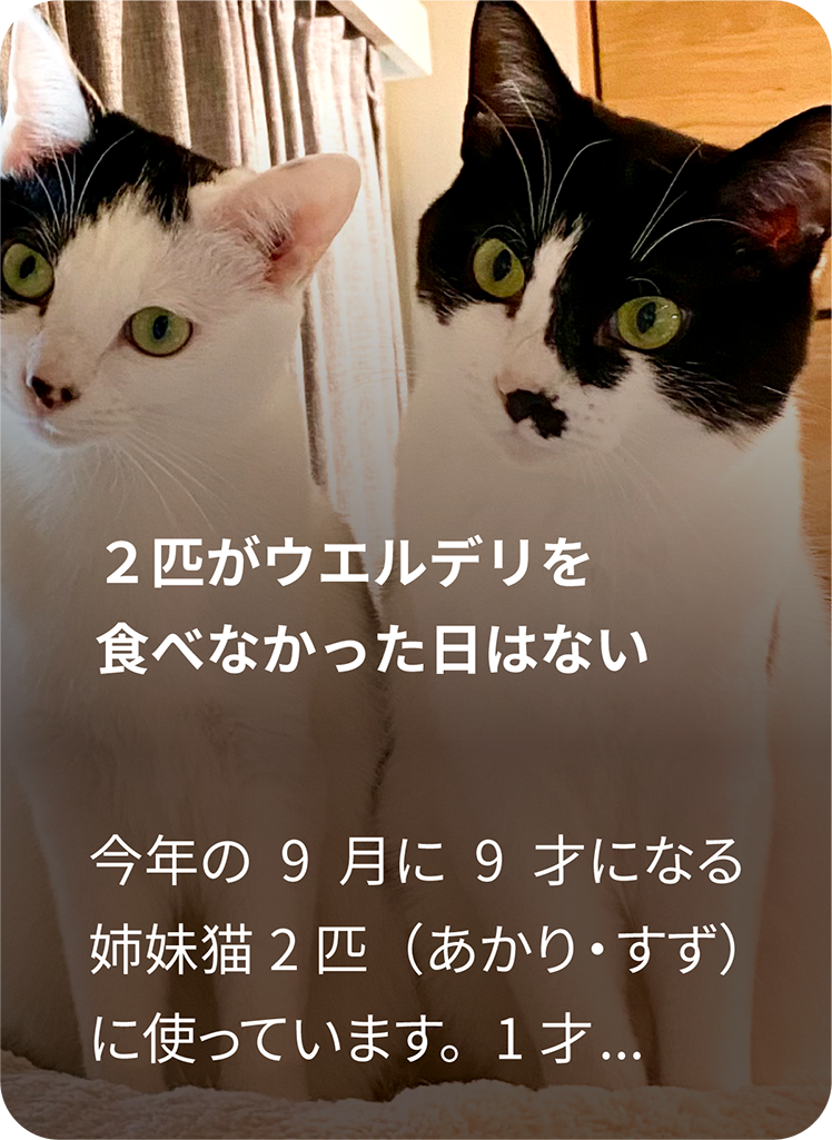 お客様の声2