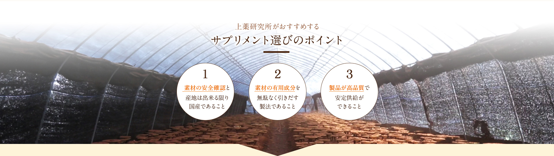 サプリメント選びのポイント