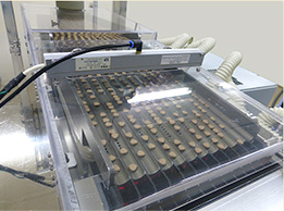 GMP工場