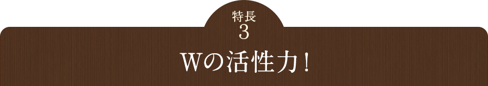 Wの活性力
