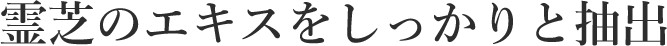 霊芝のエキスをしっかりと抽出