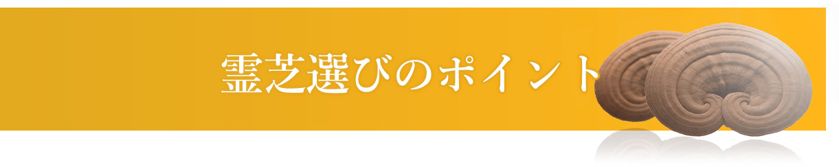 霊芝選びのポイント