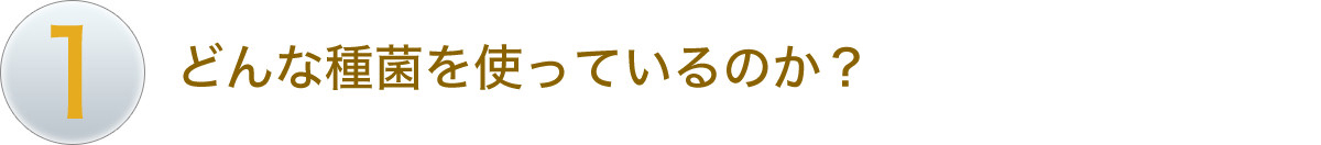 どんな種菌を使っているのか？