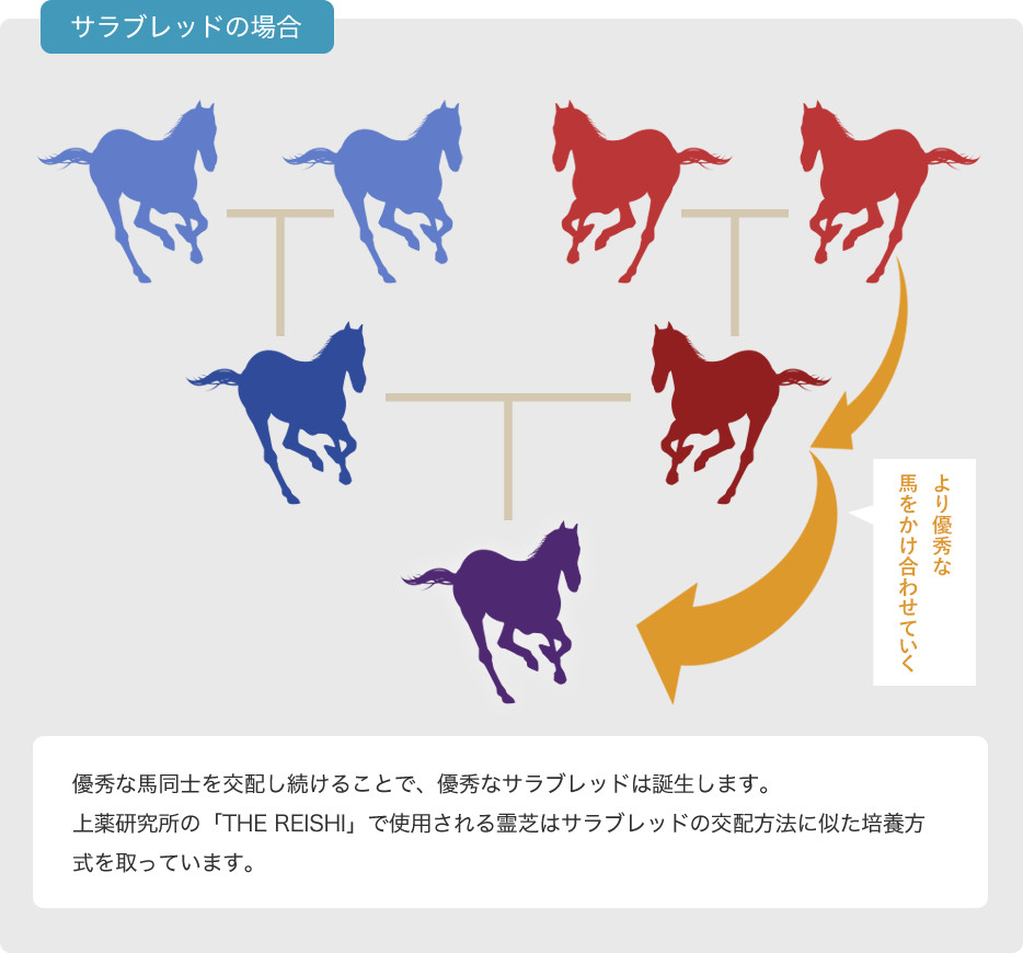 一子相伝の図