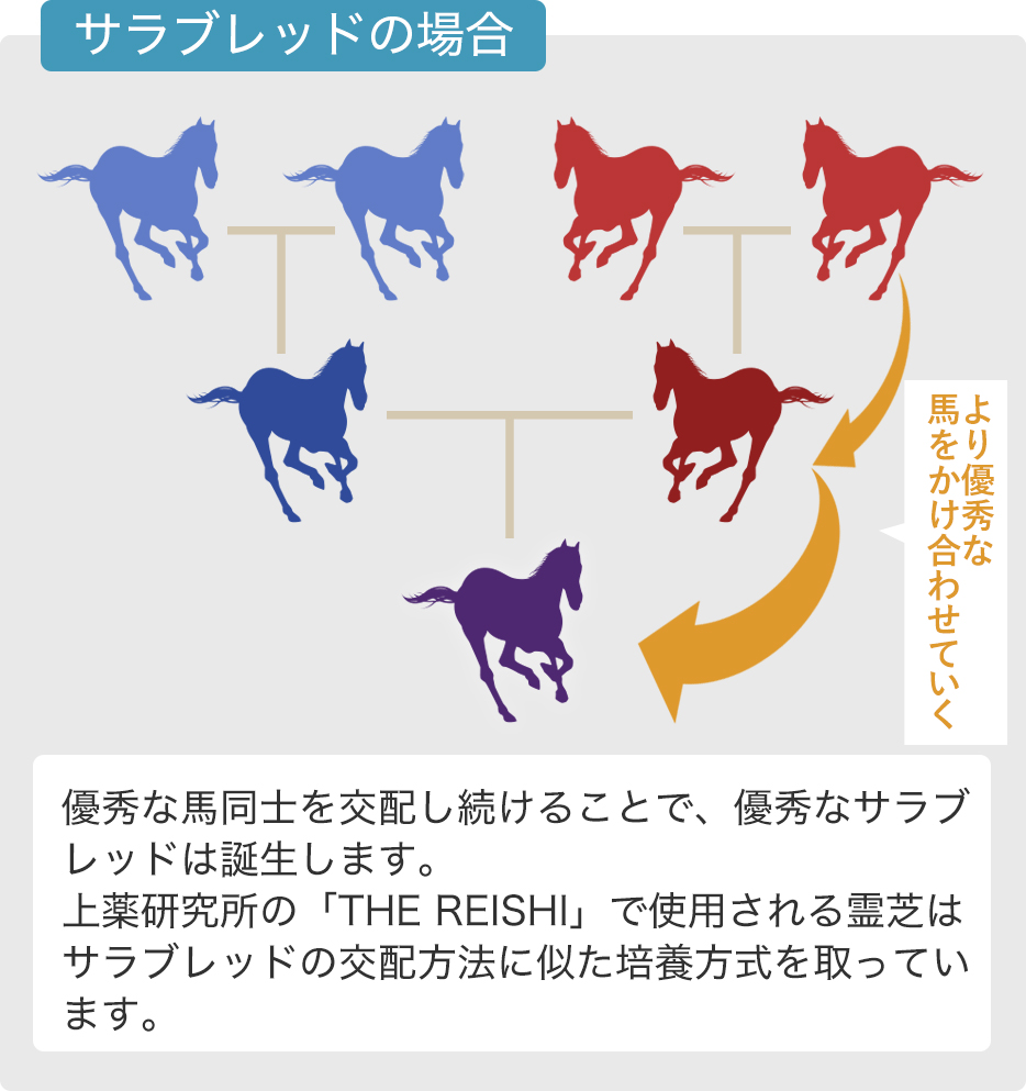 一子相伝の図