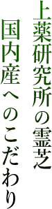 上薬研究所の霊芝国内産へのこだわり