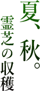 夏、秋。霊芝の収穫