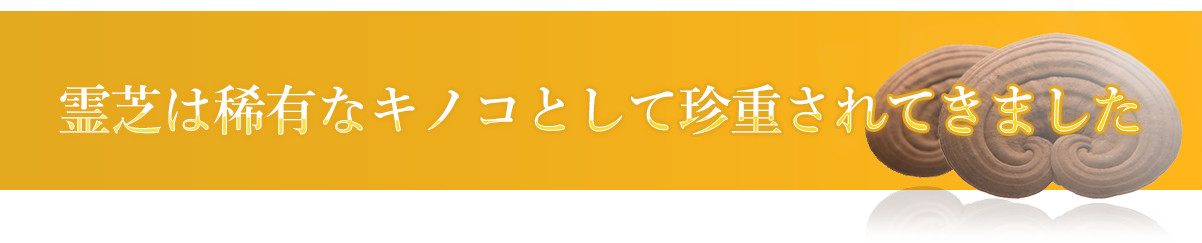 霊芝は稀有なキノコとして珍重されてきました
