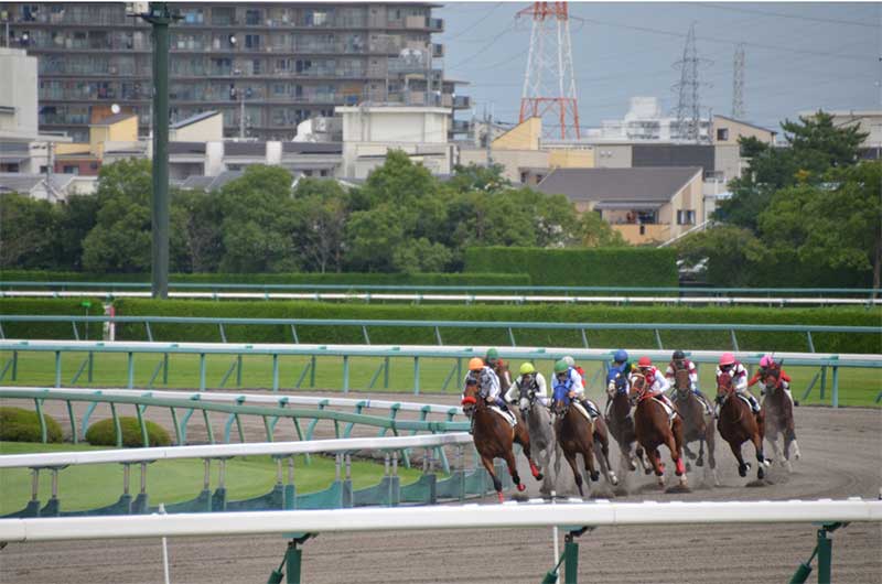 競走馬