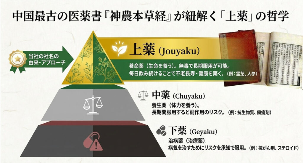 上薬の哲学