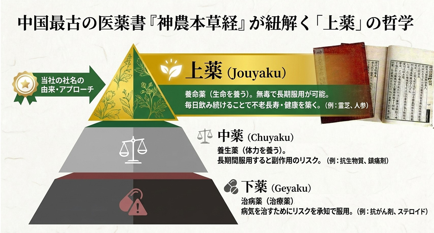 霊芝の歴史 - 霊芝の上薬研究所