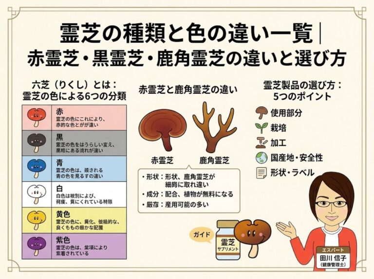 霊芝の種類と色の違い一覧|赤霊芝・黒霊芝・鹿角霊芝の違いと選び方