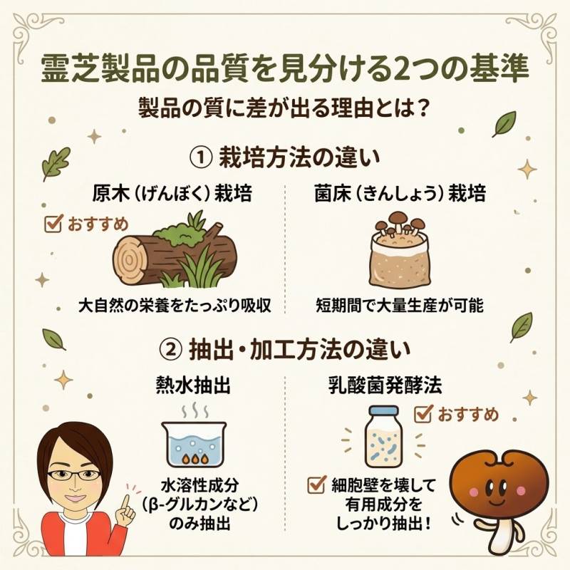 霊芝製品によって成分の質や量に差が出る理由